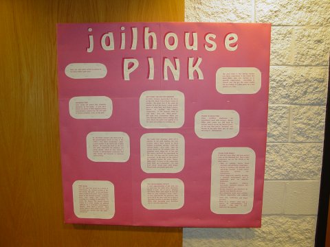 "Jailhouse Pink" bulletin board