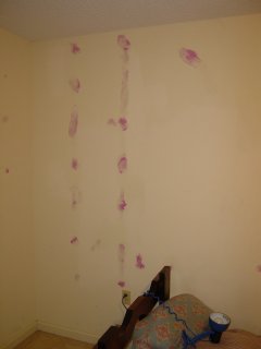 My room, spackled