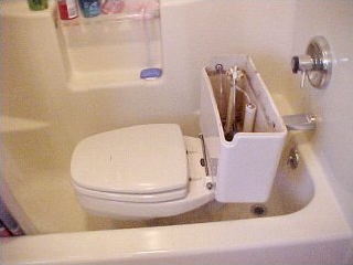 The toilet is in the bathtub!