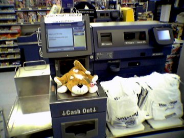 Stuffed cat on Wal-Mart self checkout