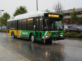 Storm at Shady Grove