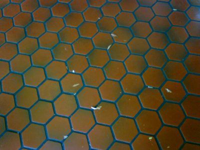 Floor tile at Delaware House