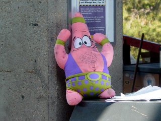 Yeah, it's Patrick Star from Spongebob. Sitting on the bus transfer machine. Go fig.