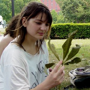 Considering that we were sitting in between a pro-pagan rally and a pro-cannabis rally, we found it amusing to see a set of five leaves that had fallen nearby that bore a very slight resemblance to a marijuana leaf. Here, Maddy contemplates that coincidence.