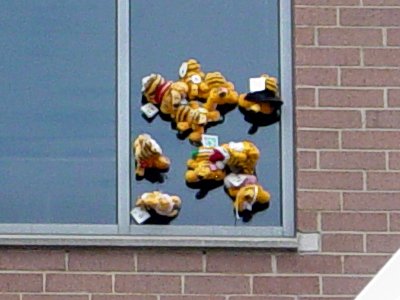 Can anyone explain to me how all these suction-cup Garfield dolls got stuck to this fourth or fifth story window that doesn't appear to be capable of opening? It's been like that for a while, too, as I go past this building every day on my way to and from work.