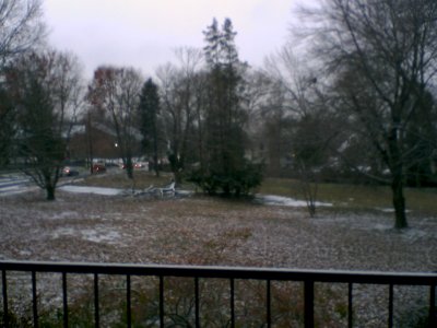 This is the snow in the morning, in the vacant lot next to my apartment. 