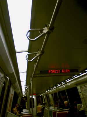 The metal "straps" along the ceiling.