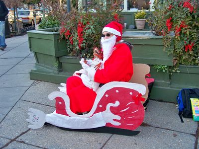 And of course, even a fail Santa has to have a sleigh, and here it is, with Longcat on both sides. And in case you're wondering, yes, Longcat is long. And Santa loves Raptor Jesus.