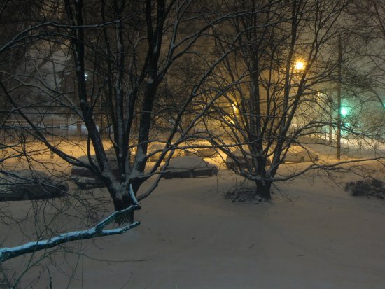 The snow comes down outside my apartment in the early morning of December 19, 2009.