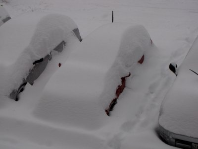 Here's another car, this one nearly completely buried in snow. All you can see is a few inches of red paint and the antenna!