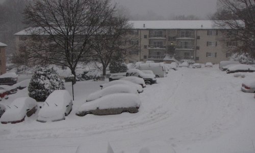 As you can see, my apartment complex is very much snowed in. Just about everyone's car is covered in snow!