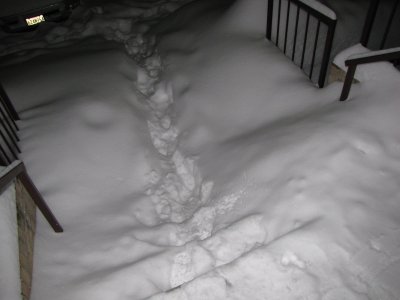 The steps leading up to my building. The path that people have walked in it kind of gives an indication about the depth of the snow.
