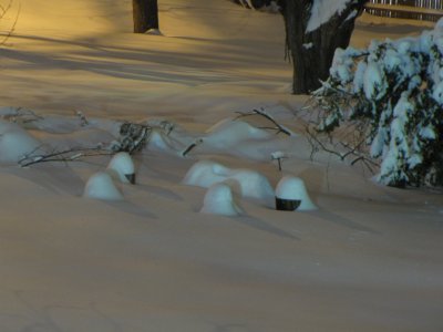 Various tree stumps and a makeshift bench in the vacant lot behind my apartment. Compare to the same thing during the first snowfall of the year.