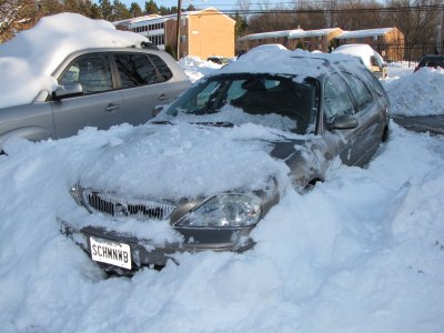 I found two headlights, a grille, a bumper, and a license plate! Seriously, it was like I went digging and found a car.