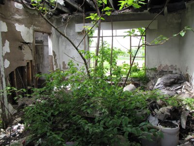 Yes, that's a tree growing inside one of the abandoned Skyline Parkway Motor Court buildings. A tree. I had previously only photographed this particular building from a distance. This is what it looks like inside the room second from far left in the linked photo from 2003.