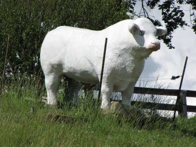 The "Anatomically Correct Bull" along US 340 in Stuarts Draft, Virginia