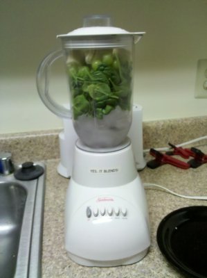 When I was finished jamming everything in there, the blender looked like this.