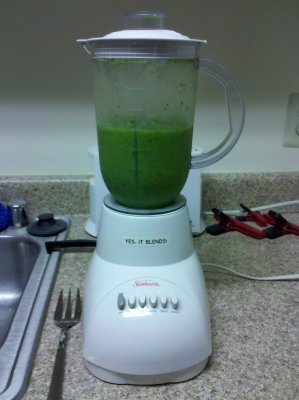 Once the spinach and such got going, it quickly became a proper smoothie, and was very green.