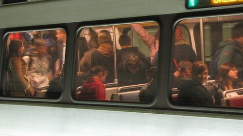 As soon as the doors closed, the first group to board a train, a Green Line train to Greenbelt, started peeling off their pants. My group, still on the platform, was cheering them on.