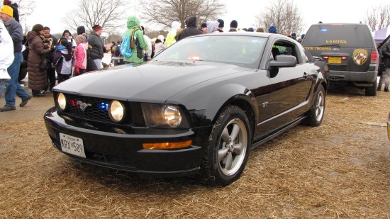 A black Ford Mustang - an unmarked police car