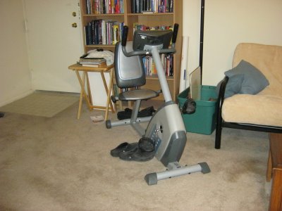 Exercise bike. We're not presently on speaking terms, but I suppose I should occasionally give it a spin, as I can imagine an occasion when both walking and the pool are infeasible.