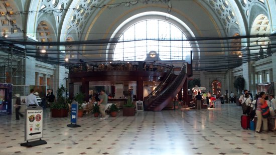 Netting over the Main Hall, including over the restaurant, in a view facing east.