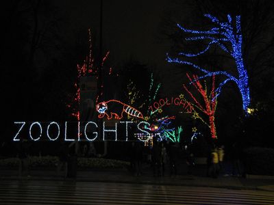  Lighting at the entrance on Connecticut Avenue, seen from across the street from the zoo.