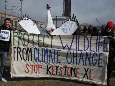 Bird costume, behind a wildlife banner