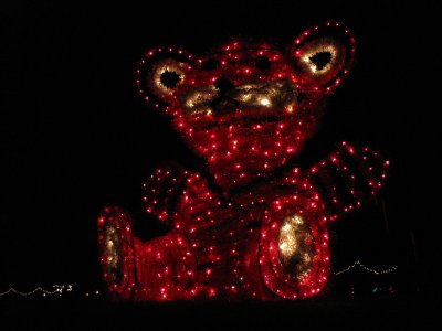 Giant teddy bear!  This was the only light display that had depth to it.  All of the others were flat.