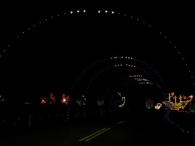 This is one of a few light tunnels that they made along the path.