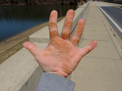 Rust on my hand, from clinging to a fence to get closer to the dam than I should have otherwise.