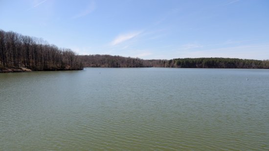 Triadelphia Reservoir, viewed from atop the dam.