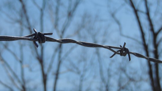 Barbed wire above a fence on the Howard County side along Brighton Dam Road.