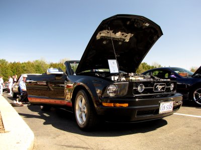 Ford Mustang with the hood way up