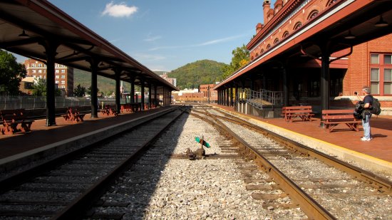 Station for the Western Maryland Scenic Railroad, built in 1913.