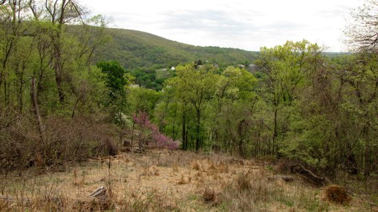 The site of a Civil War-era stone fort