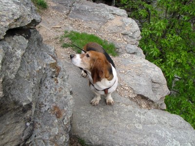 Bruno, near the edge of the rocks