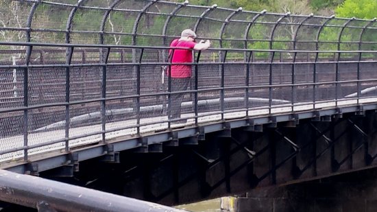 Standing on the bridge, taking photos of abandoned infrastructure