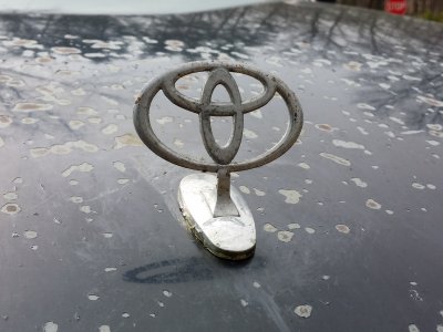 Have you ever seen a Toyota hood ornament before?