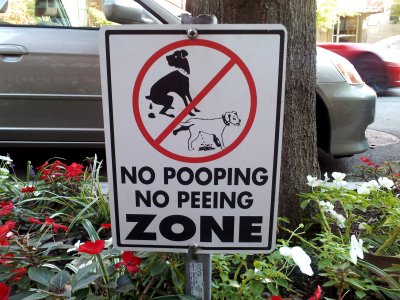 "NO POOPING NO PEEING ZONE"