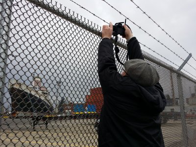 Reaching over the fence to get a clear view.