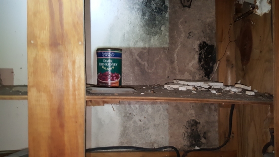 A can of beans in the cabinet. Considering how long canned goods last, there's a distinct chance that those beans are still edible.