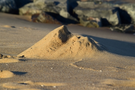 Spotted this eroded mound of sand near the water, and my guess is that this was once a sand castle of some sort, that has since been reshaped by nature.