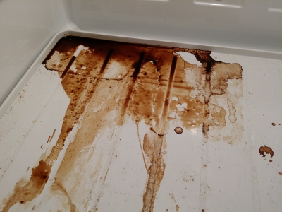 Root beer juice, all over the bottom of the fridge.
