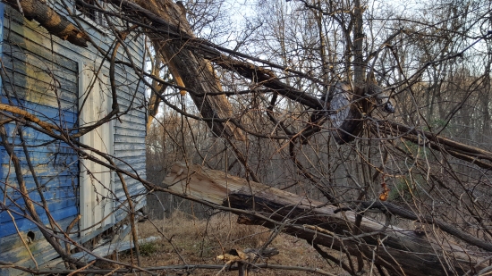 This tree fell on the house some time between 2010 and 2013, using Google Maps imagery and the 2013 video. Clearly, if the house had not already been abandoned by this point, it might have been after this event.