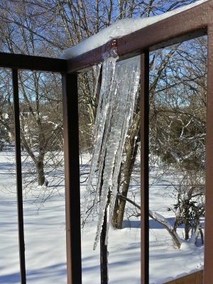 Icicles that formed at an angle.