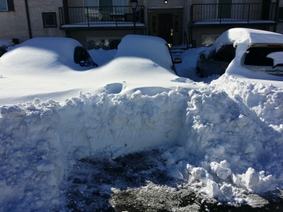 Taking a bite out of the snow.