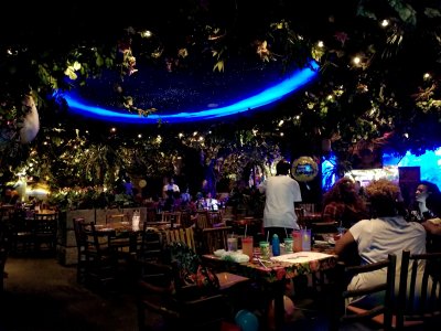 The inside of Rainforest Cafe, viewed from our table.