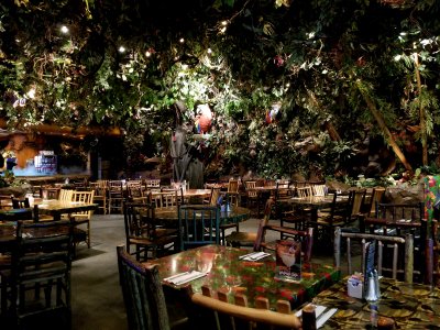 The inside of Rainforest Cafe, viewed from our table.