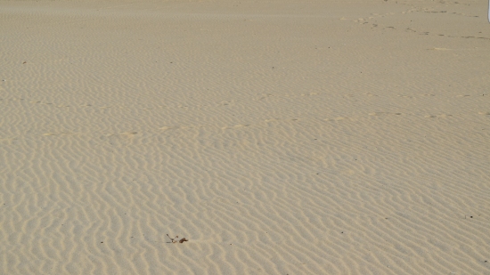 With few people on the beach, it was neat to see the effects of the wind on the sand.